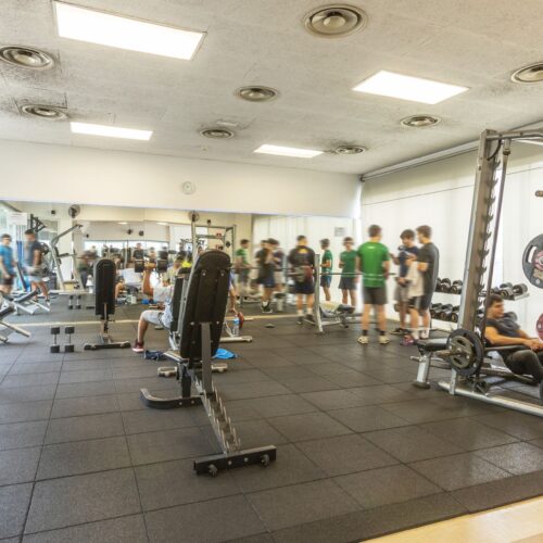 Sala de fitness muscular