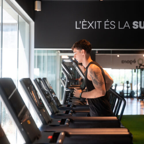 Sala de fitness cardiovascular